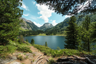 Lagh da Cavloc (Foto: © Schweiz Tourismus / Sylvia Michel) Der Lagh da Cavloc im Gebiet des Malojapasses
