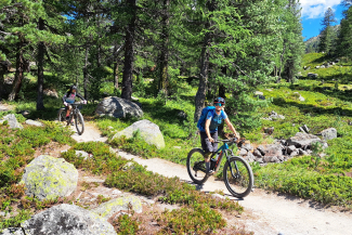 Über den Flowtrail in Richtung Morteratsch (Foto: © Patrick Dreher, Graubünden Ferien) Über den Flowtrail in Richtung Morteratsch