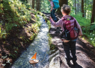 Schiffe im Wald Schiffe im Wald