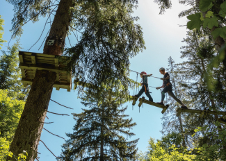 Im Hochseilpark von Baum zu Baum klettern Im Hochseilpark von Baum zu Baum klettern