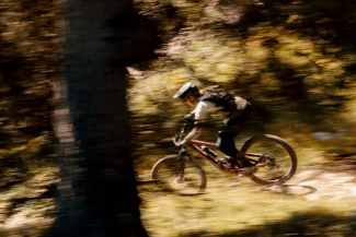 Bike Trail durch den Wald