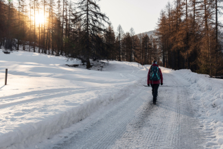 Winterwanderweg Zernez-Susch Via Engiadina