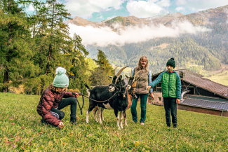 Begleiter mit Charme – Ziegentrekking in den Bündner Bergen (Foto: © Schweiz Tourismus / Christian Meixner) Bäuerin und zwei Kinder beim Ziegentrekking in der Berglandschaft von Graubünden