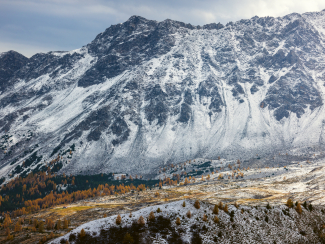 Schneebedeckte Berge mit herbstlich gefärbten Lärchen im Vordergrund. (Foto: © Nico Schaerer) Schneebedeckte Berge mit herbstlich gefärbten Lärchen im Vordergrund.
