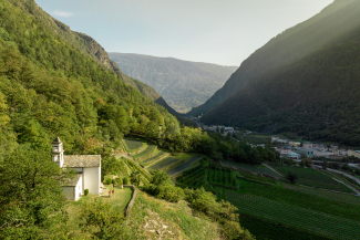Terrassierte Kulturlandschaft bei Campascio in der Valposchiavo mit Blick ins Tal (Foto: © Schweiz Tourismus / André Meier) Terrassierte Felder und kleine Kirche oberhalb von Campascio in der Valposchiavo
