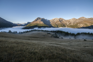 Graslandschaft am Munt La Schera im Schweizerischen Nationalpark über einem dichten Nebelmeer mit herausragenden Berggipfeln unter blauem Himmel