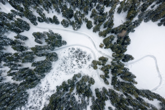 Wie eine Schleife zieht sich der Eisweg durch den Wald. (Foto: © Nico Schaerer) Wie eine Schleife zieht sich der Eisweg durch den Wald. (Foto: © Nico Schaerer)