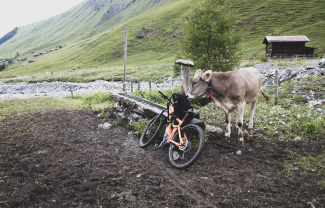 Zufallsreise durch Graubünden (© Martin Hoch) Zufallsreise durch Graubünden (© Martin Hoch)