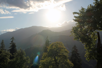 Landschaft in der Surselva Landschaft in der Surselva