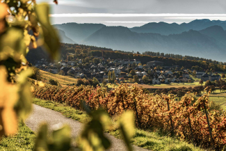 Weindorf Fläsch in der Bündner Herrschaft (Foto: © Schweiz Tourismus / Tina Sturzenegger) Weindorf Fläsch in der Bündner Herrschaft