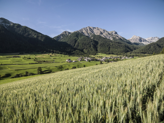 Müstair Müstair