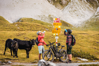 Mountainbiken in der Wildnis Mountainbiken in der Wildnis