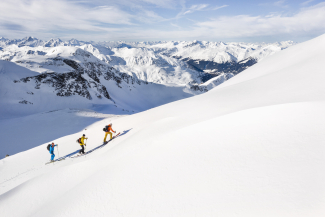 Bergführer Adrian Räz mit Gästen auf einer Skitour (Foto: © Nico Schärer) Bergführer Adrian Räz mit Gästen auf einer Skitour (Foto: © Nico Schärer)