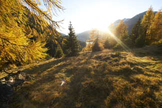 Blick von Drusatscha Richtung Davos
