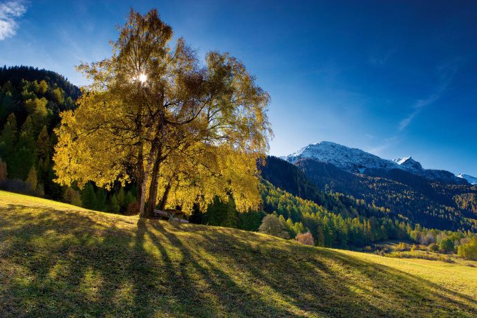 Biosfera Val Müstair