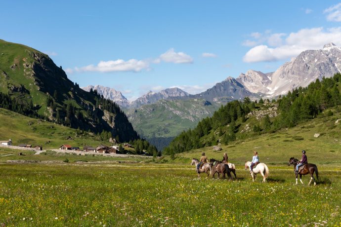 In der Ferienregion Savognin Bivio Albula (Foto: © Thalia Wünsche)