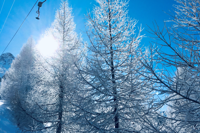 Iron lift, Aela ski area, Maloja