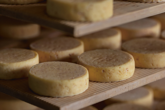 Bündner Bergkäse, Nufenen (© Nico Schärer) Bündner Bergkäse, Nufenen (© Nico Schärer)