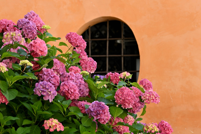 Liebevolle Details zieren das Dorf Liebevolle Details zieren das Dorf