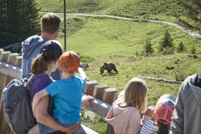 Arosa Bärenland (Foto: © Arosa Tourismus) Arosa Bärenland