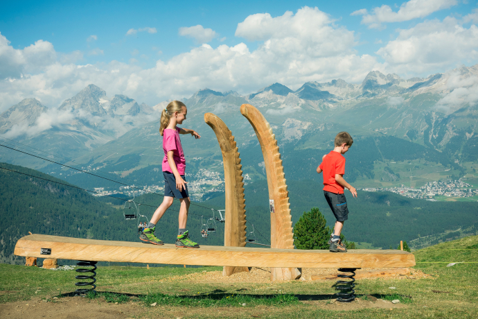 Steinbock-Spielplatz Pontresina (Foto: © Pontresina Tourismus / Gian Giovanoli) Steinbock-Spielplatz Pontresina