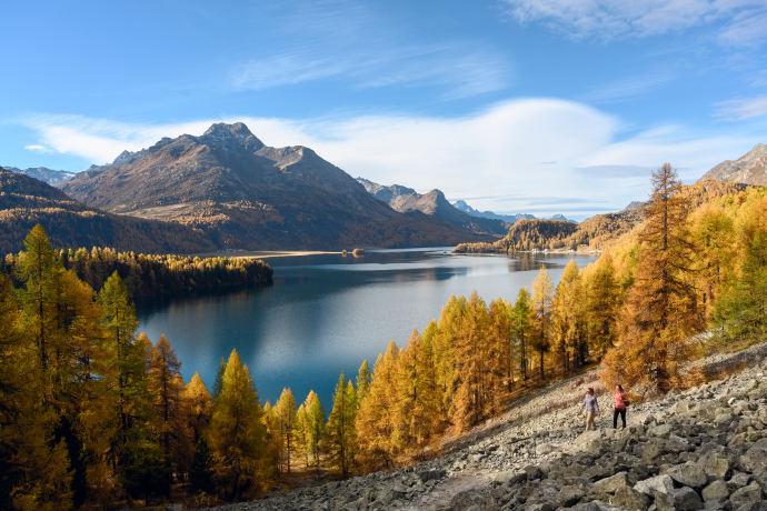 Herbstliche Szenerie am Silsersee im Engadin: goldgelbe Lärchen spiegeln sich im ruhigen Wasser, während die Berge im Hintergrund die Szene umrahmen