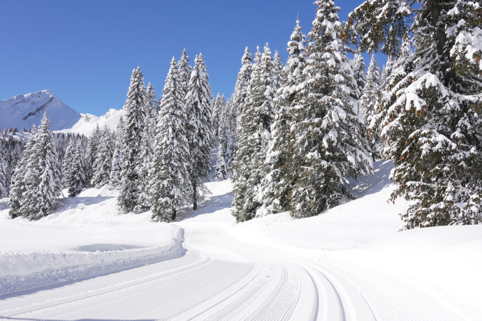© Ente Turistico Regionale del Moesano (ETRM) Cross-country skiing in San Bernardino