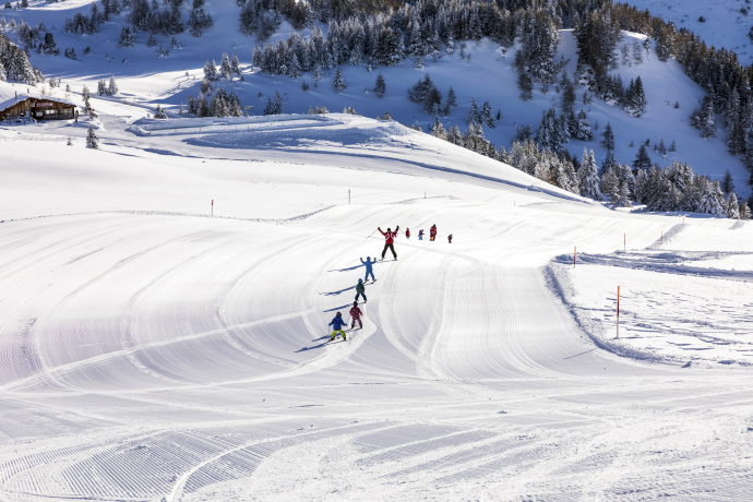 Schweizerische Schneesportschule im Skigebiet Feldis