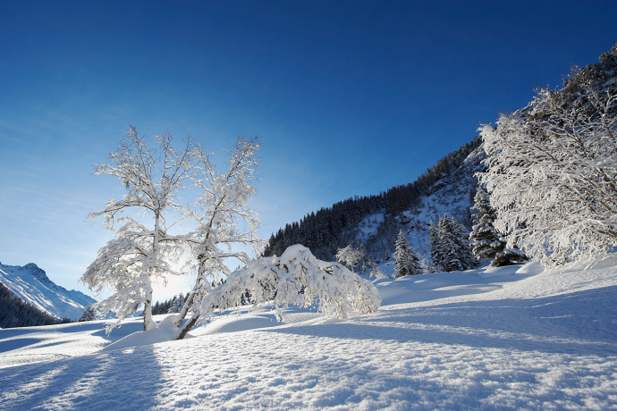 Winterwandern im Dischmatal in Davos Klosters (Foto: © Destination Davos Klosters) Winterwandern im Dischmatal in Davos Klosters (Foto: © Destination Davos Klosters)