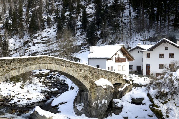 Arvigo