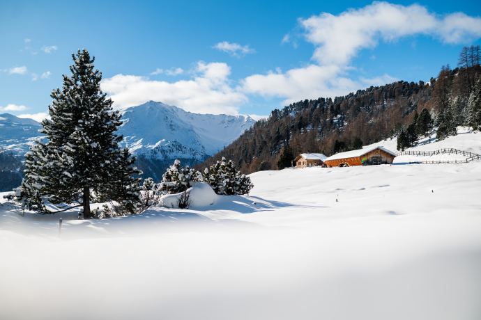 Aussicht auf die Alp Champatsch (Foto: © Graubünden Ferien / Marco Hartmann)  Aussicht auf die Alp Champatsch (Foto: © Graubünden Ferien / Marco Hartmann)