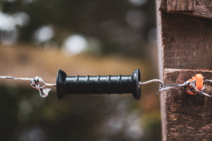 Zaundurchgang auf den Weiden (Foto: © Graubünden Ferien / Marco Hartmann) Zaundurchgang auf den Weiden (Foto: © Graubünden Ferien / Marco Hartmann)