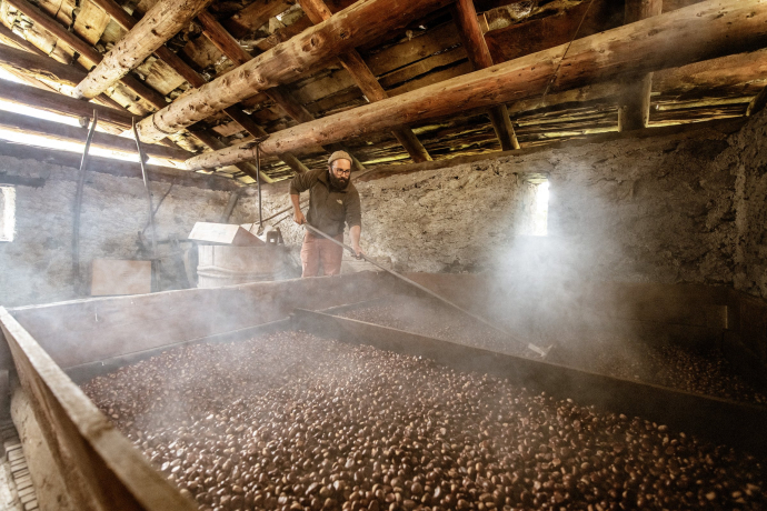 Kastanien-Klopfen im Bergell (Foto: © Switzerland Tourism / Rob Lewis Photography) Kastanien-Klopfen im Bergell