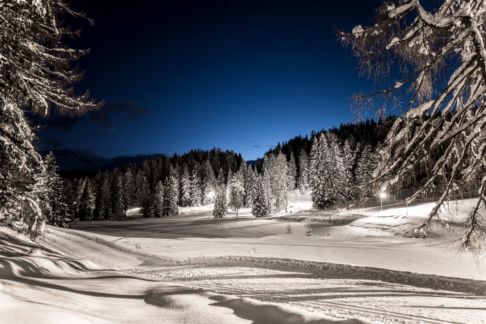 Bual Loipe in Lenzerheide (Foto: © Johannes Fredheim) Bual Loipe in Lenzerheide (Foto: © Johannes Fredheim)