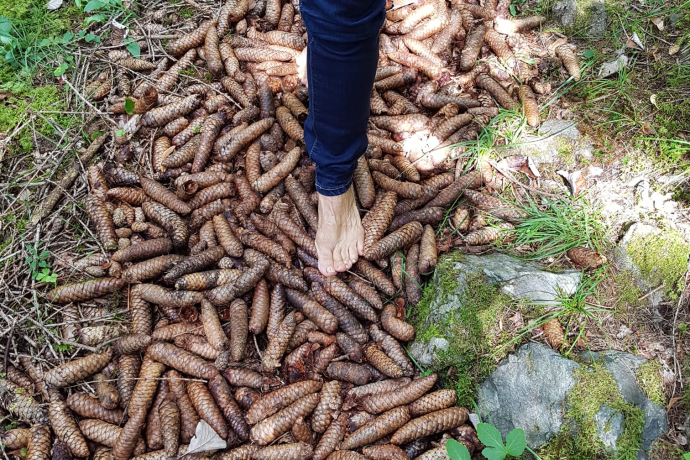 Yoga und Sinnesparcour Valposchiavo