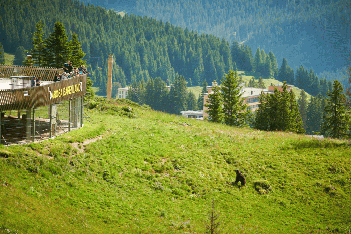 Bärenland Arosa