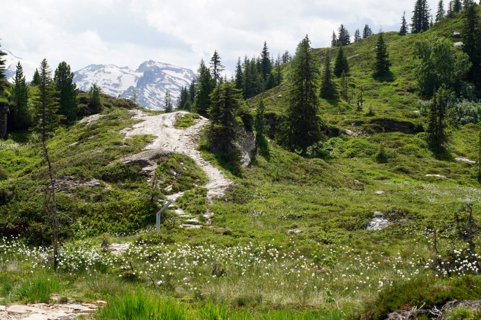 Panoramaweg beim Hochmoor Kristallloch von Zerfreila nach Gadastatt