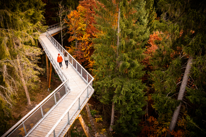 Zwei Gäste auf dem Baumwipfelpfad in Laax