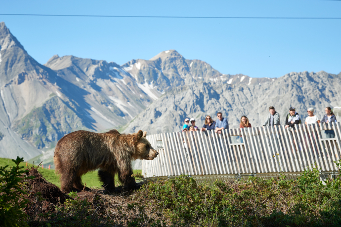 Besucherplattform Besucherplattform im Arosa Bärenland