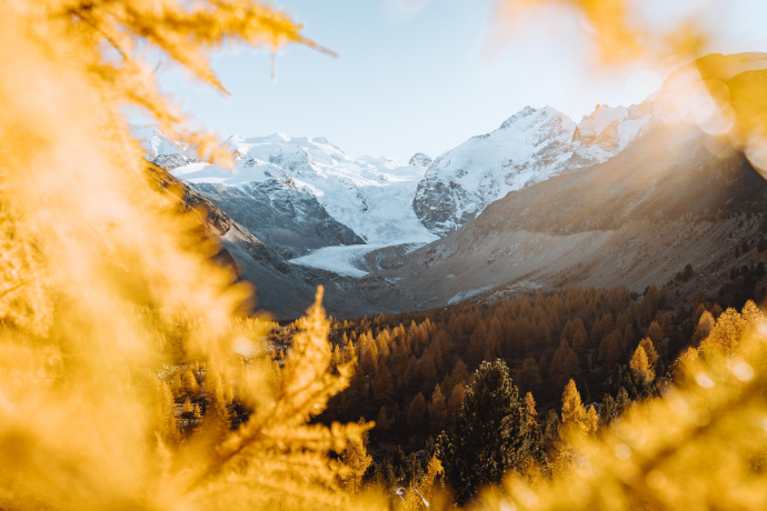Morteratschgletscher