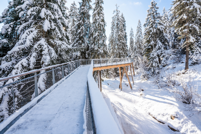 Baumwipfelpfad in Laax