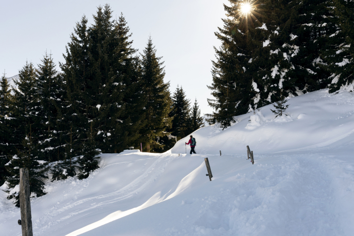 Winterwandern in der Surselva