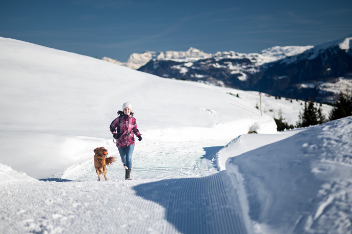 Winterwandern mit Hund auf dem Glaspass in der Ferienregion Viamala (Foto: © Marco Hartmann) Winterwandern mit Hund auf dem Glaspass in der Ferienregion Viamala