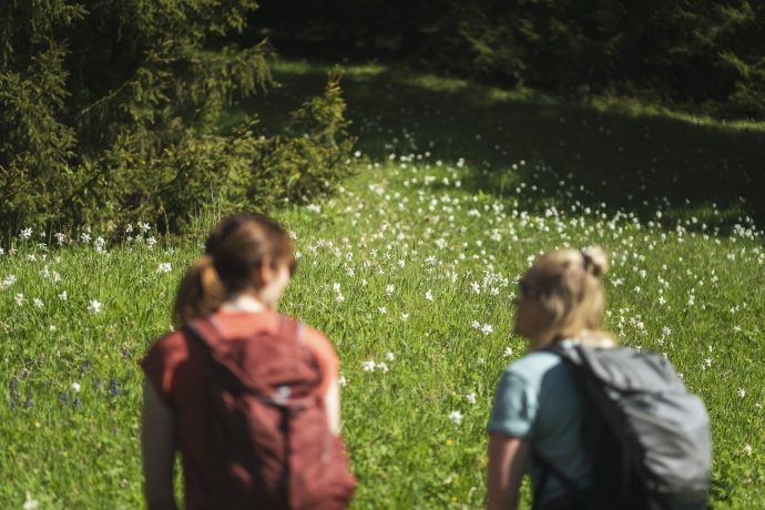 Zwei Frauen betrachten Narzissen in Seewis