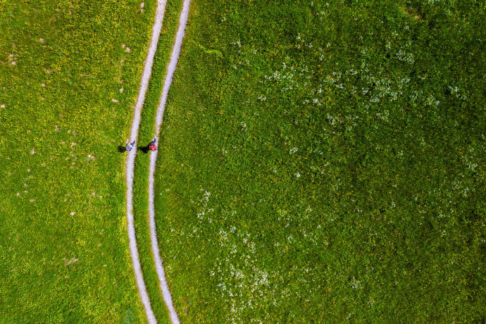 Ein Paar wandert durch ein Narzissenfeld in Seewis