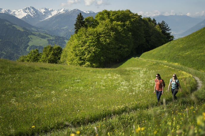 Wander*innen auf dem Narzissen-Rundweg in Seewis