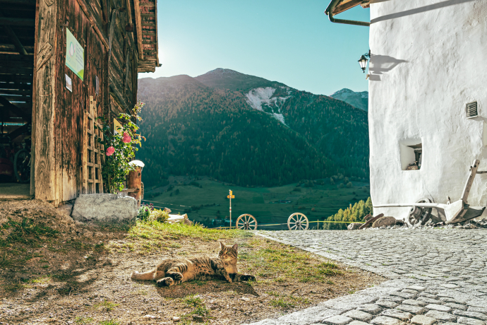 Erlebnishof Pütschai Josom in Sta. Maria