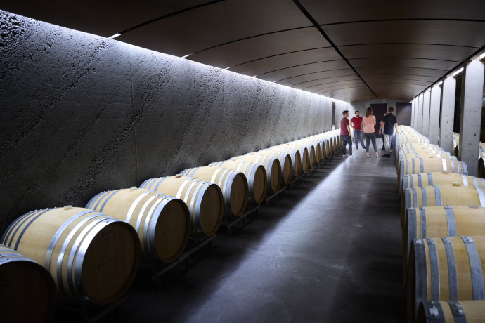 Einen interessanten Einblick in den Alltag und die Arbeit auf einem Weingut erhält man auf den Führungen von Wine Tours Switzerland (Foto: © Graubünden Ferien / Stefan Schlumpf) Weinfässer auf einem Weingut in der Bündner Herrschaft