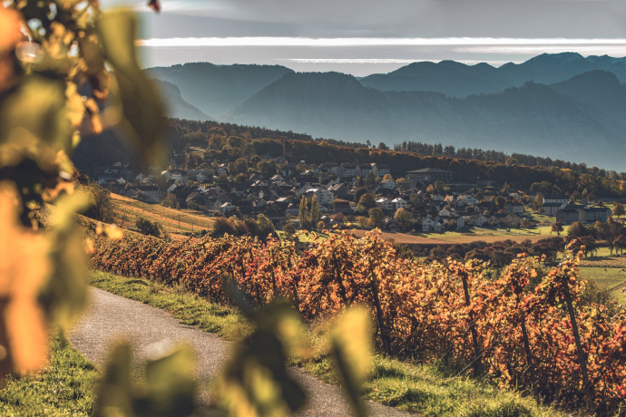 2010 erhielt Fläsch für seine Ortsplanung den Wakkerpreis des Schweizer Heimatschutzes (Foto: © Schweiz Tourismus / Tina Sturzenegger) Blick auf das Dorf Fläsch in der Weinregion Bündner Herrschaft