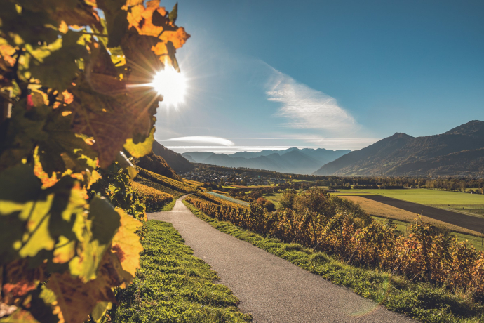 Blick auf das Dorf Fläsch in der Weinregion Bündner Herrschaft